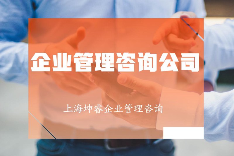 洞悉时代脉搏：商务信息咨询行业的最新发展